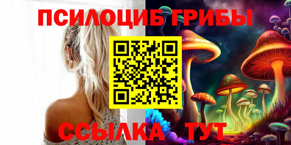 Верхняя Пышма  Псилоцибиновые грибы Psilocybe  Вход с VPN 
